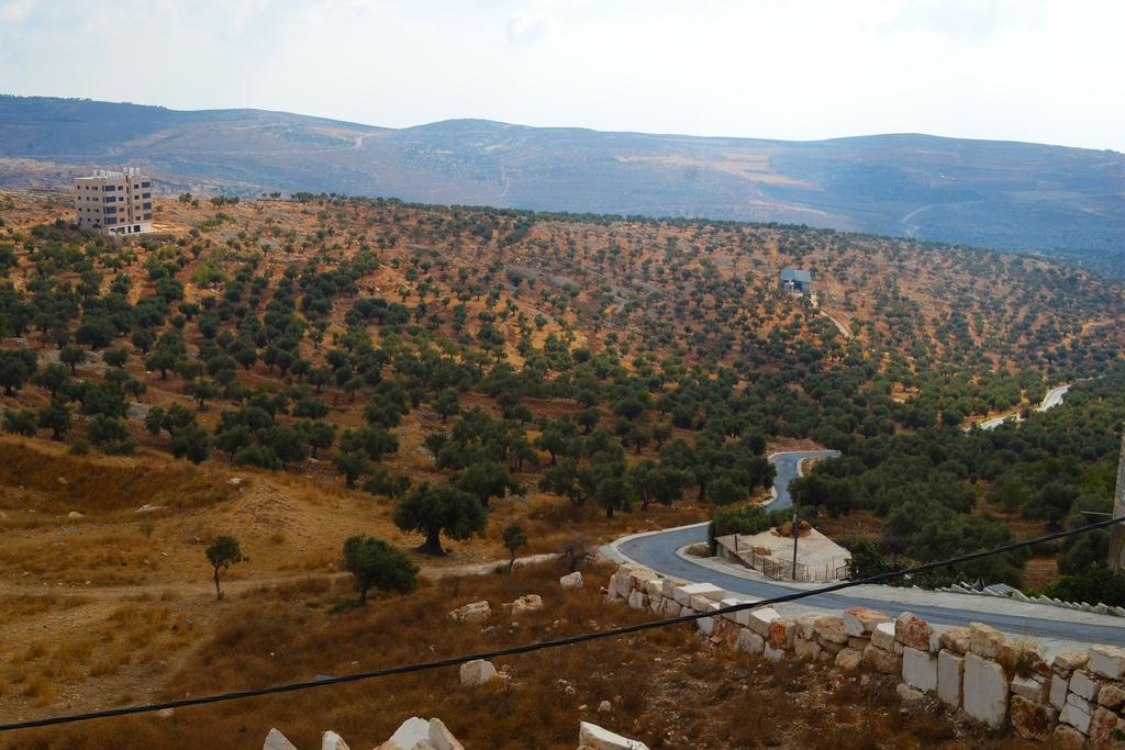 Taybeh Golden Hotel Ραμάλα Εξωτερικό φωτογραφία